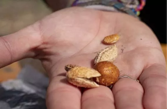 55766b6c-82d1-471e-a429-09db98bf7c20