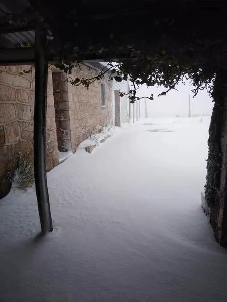 241520630_1182919565452250_4877183838134053660_n