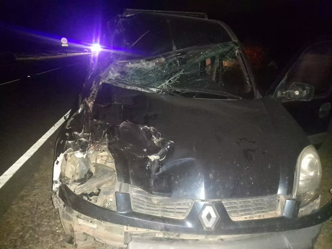 Los Reartes: un utilitario impactó contra un caballo en la ruta