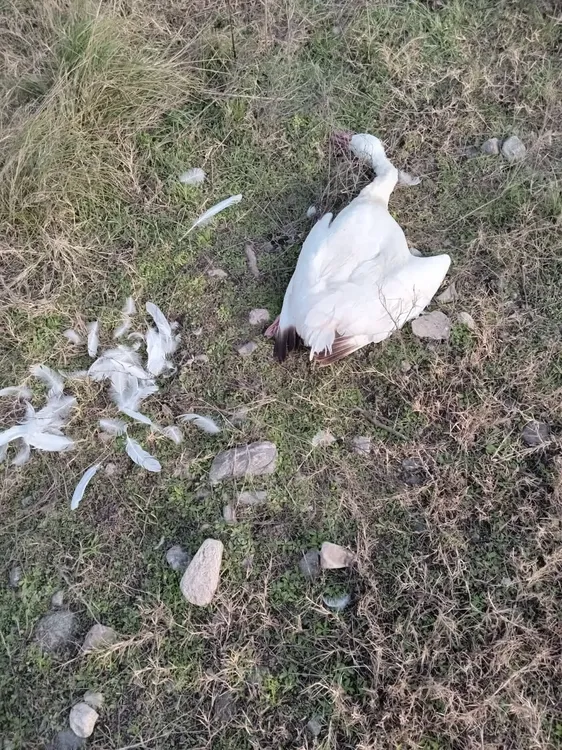 09cf9cef-c57b-4a23-9cd1-5b2056de22ba