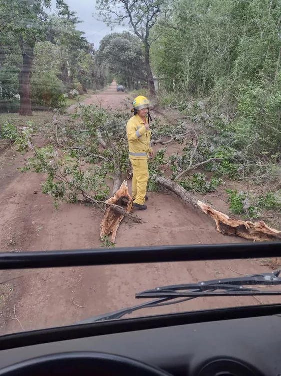 ae2ebc46-0744-4c99-8f6e-e51eea624546