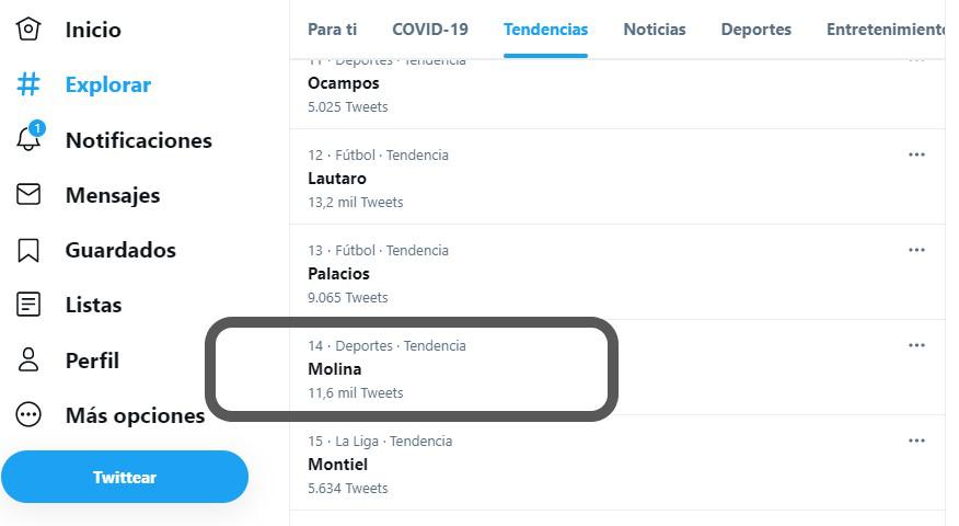 MOLINA TENDENCIA