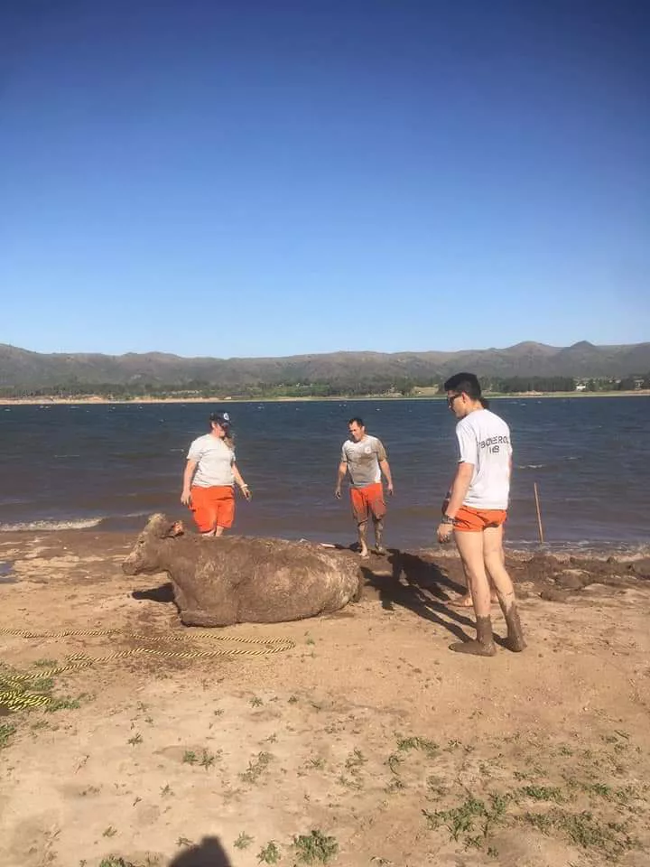 FB_IMG_1668688923536