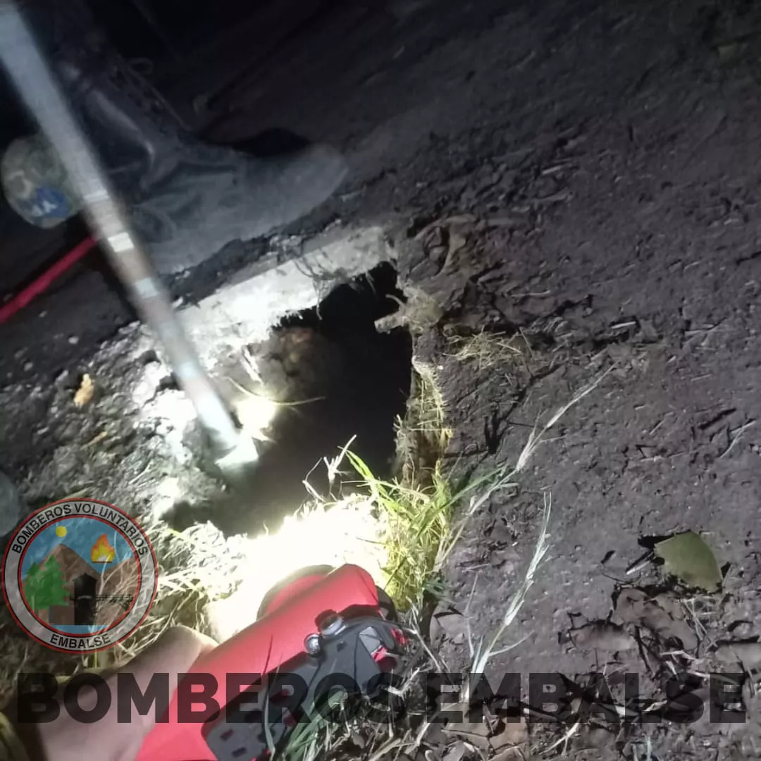 Embalse: bomberos rescataron a un perro que cayó en una cámara séptica 