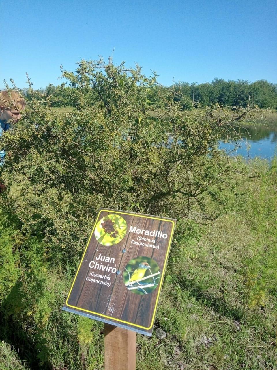 WhatsApp Image 2021-03-12 at 21.45.25