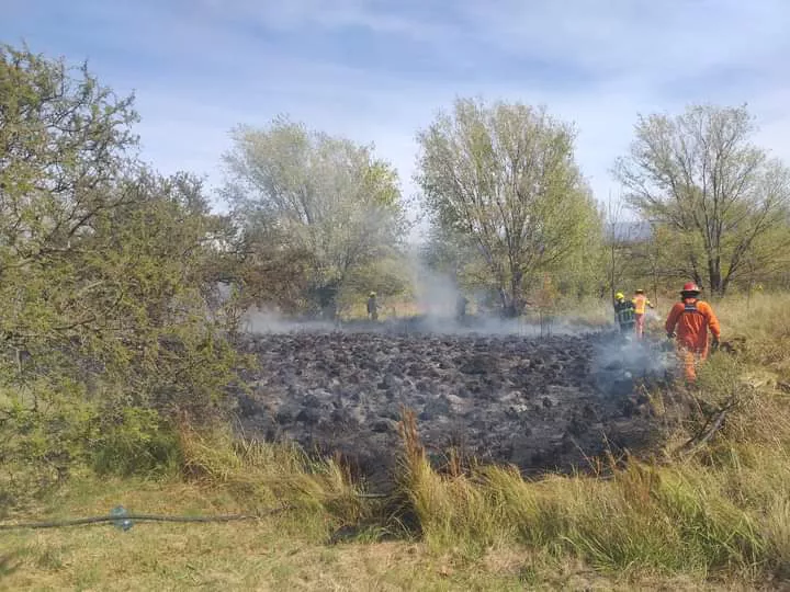 FB_IMG_1650746285792