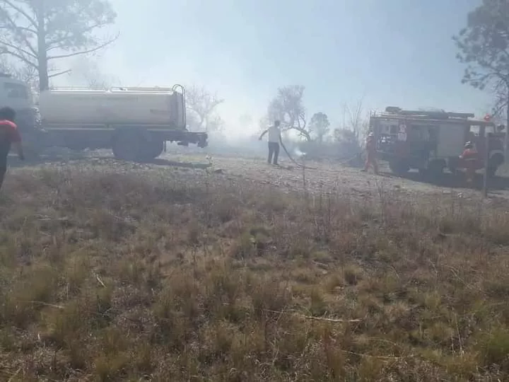 c20a1037-2a3f-4326-8880-69c2ff76edcd