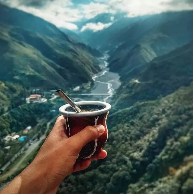 76385850-e7cd-4de5-91bb-ab5b897ae7e7