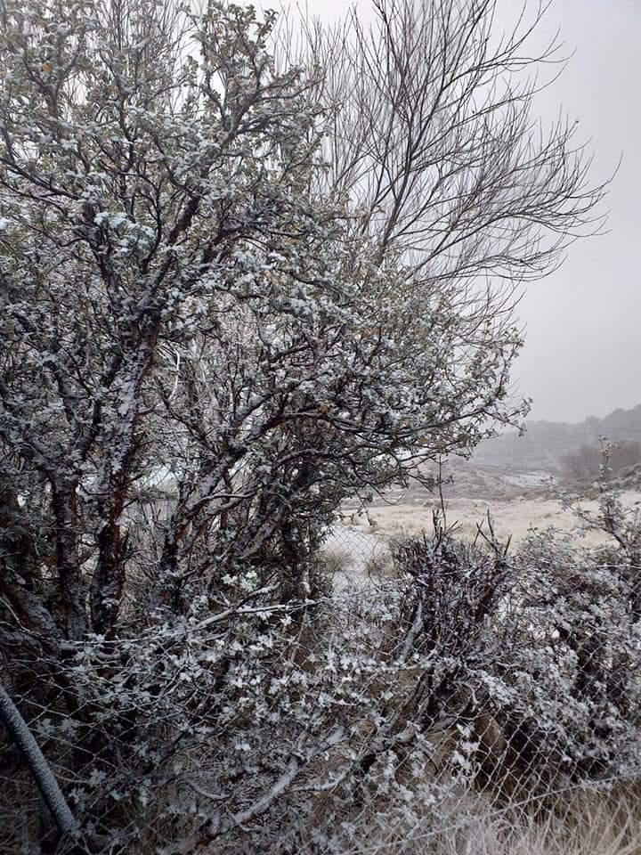 nieve en puestos del champaqui 1