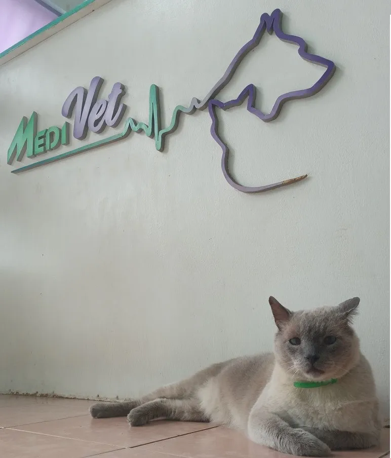 Veterinaria MediVet Villa General Belgrano