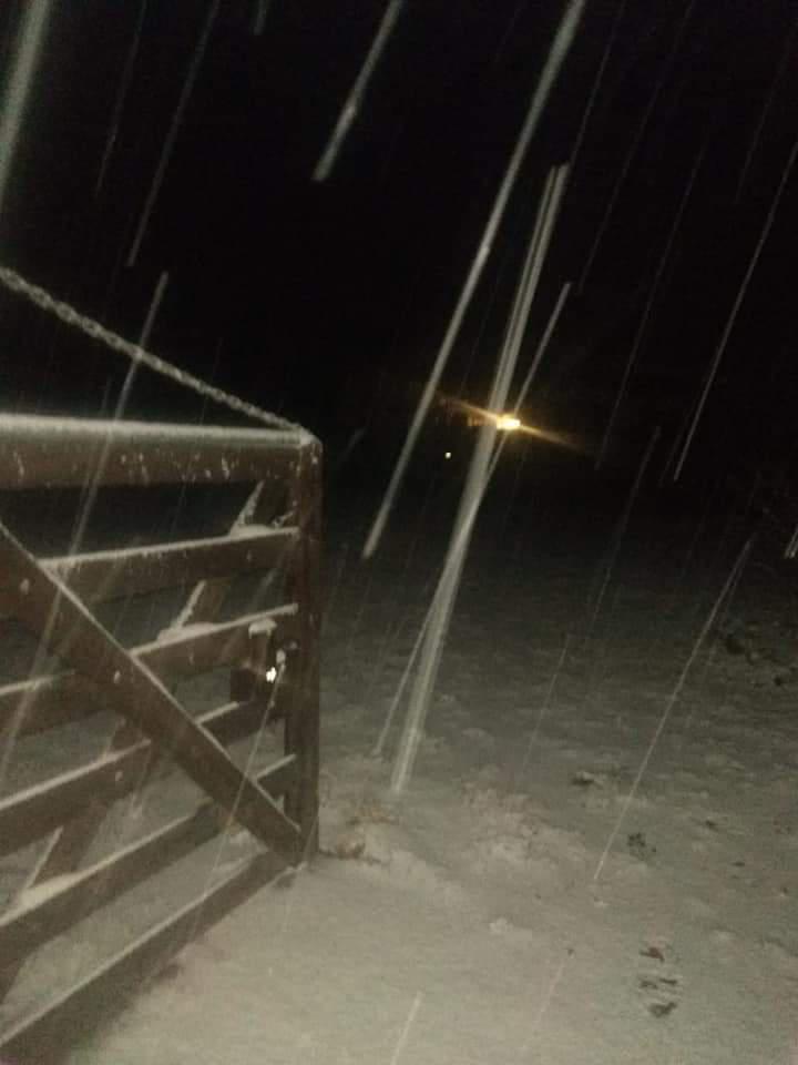 FB_IMG_1599011132137