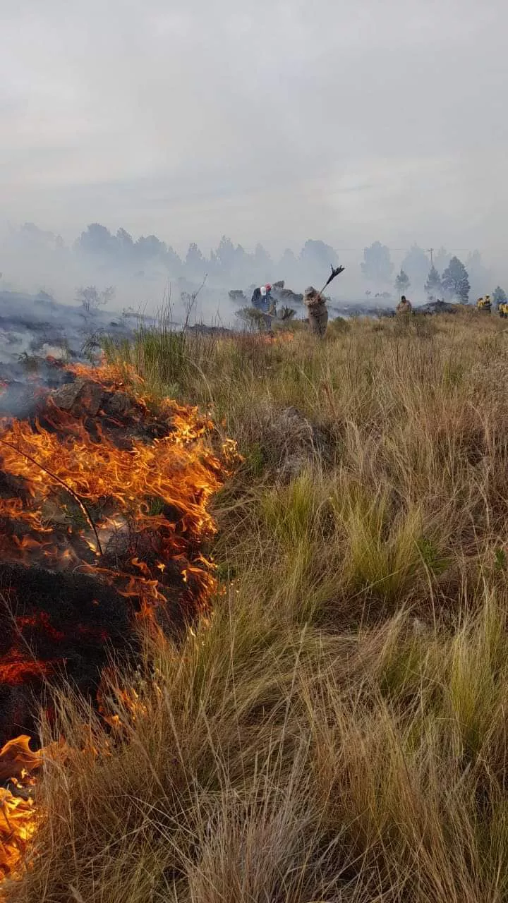 FB_IMG_1667514933667