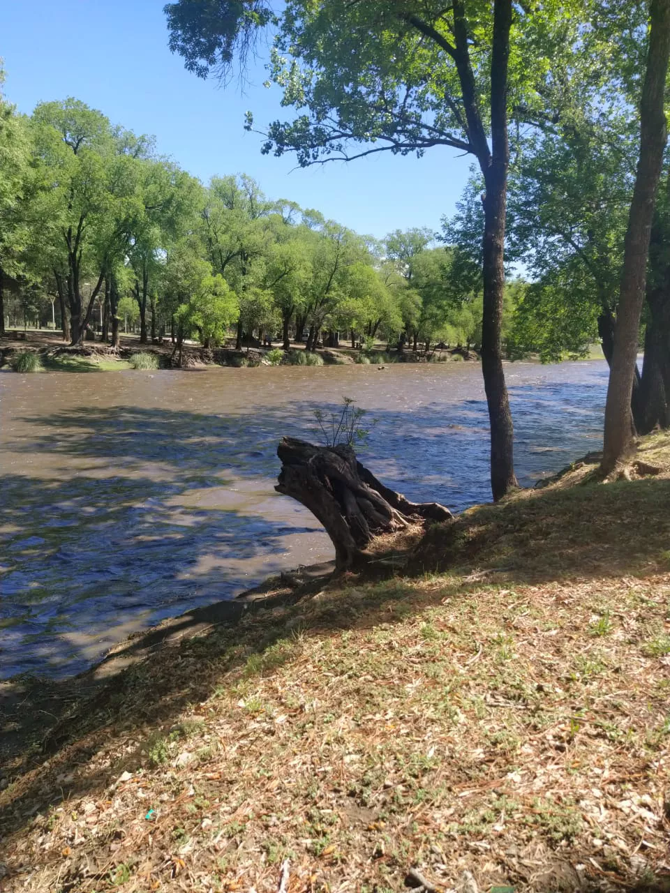 6a5c7d75-b69b-422b-9933-7dc46ead460b