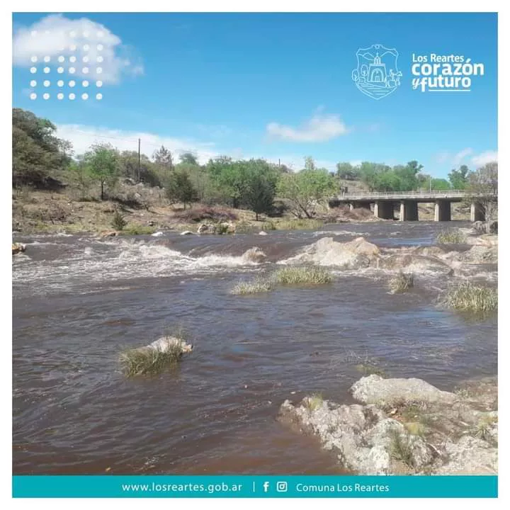 f8841340-4e64-4d81-bdcc-c314ca0aed36