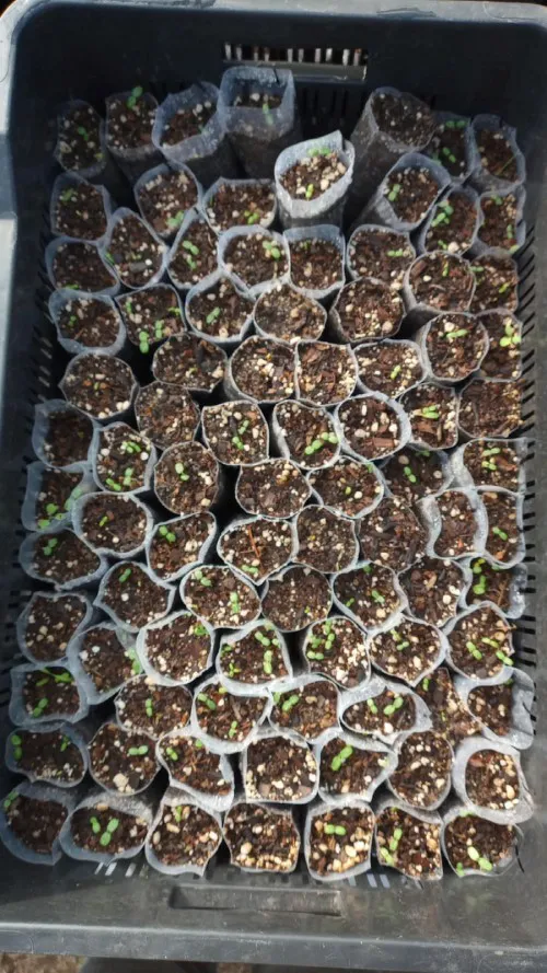 Sembradores de Agua 06