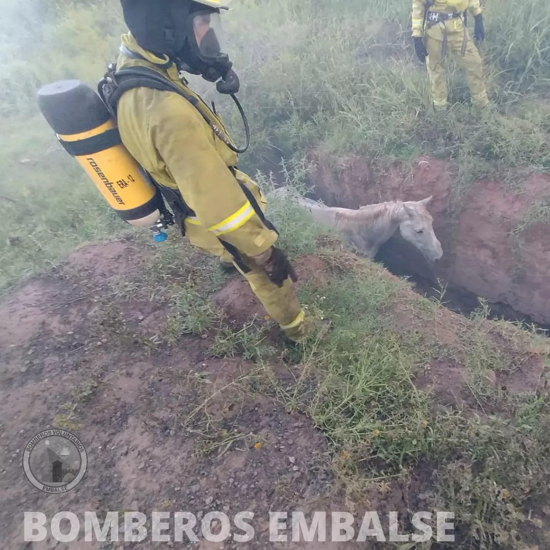 Un caballo quedó atrapado en una zanja durante un incendio de residuos en Embalse 