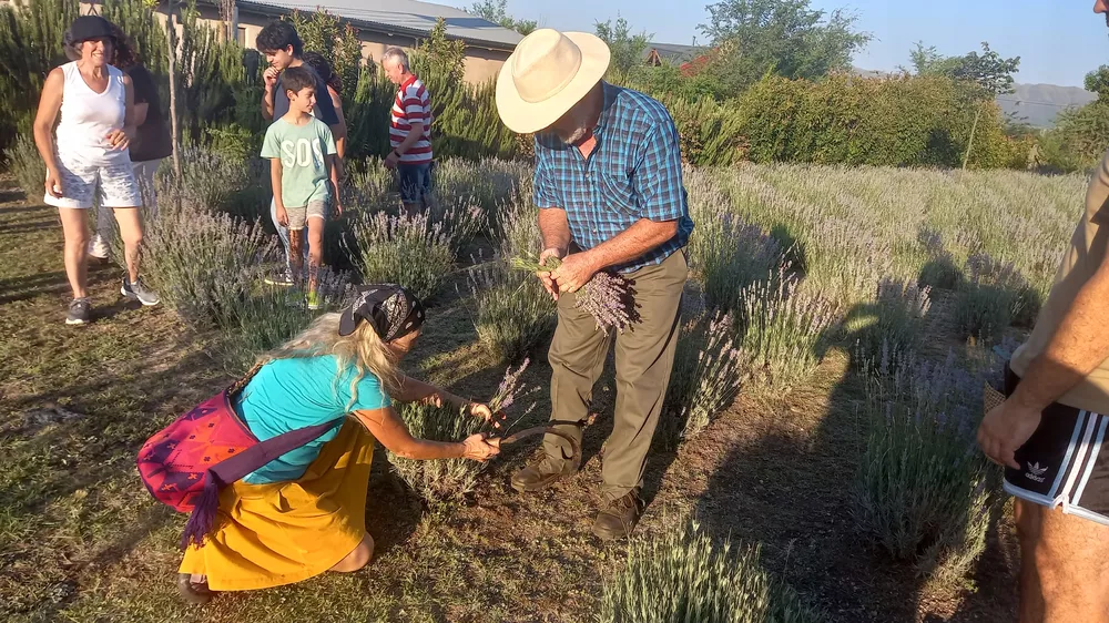 Islavanda Fiesta de la cosecha 2023 (13)