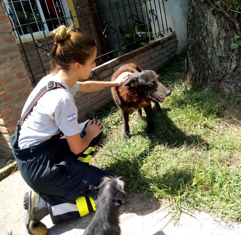 Perro rescatado Embalse 01