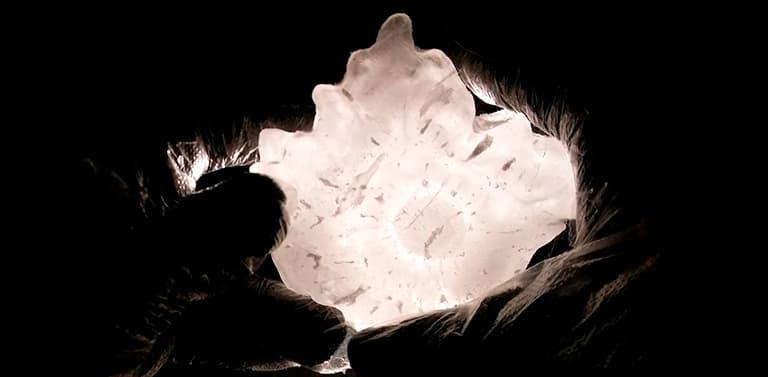 UNCiencia_granizos_gigantes_portada-03-0768