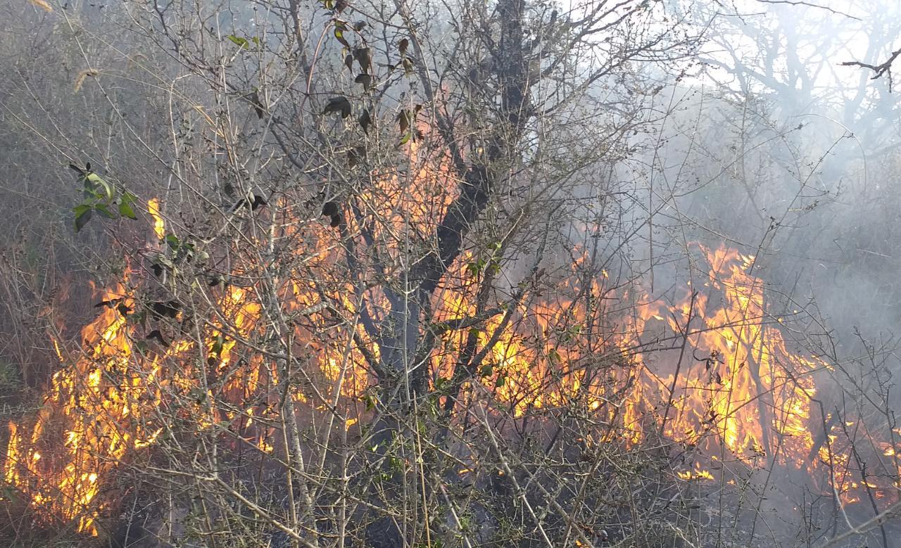 INCENDIO EN EMBALSE 01