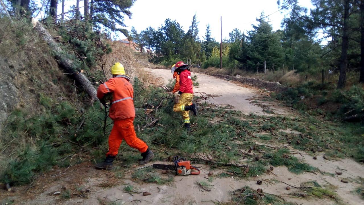 bomberos yacanto arboles viento