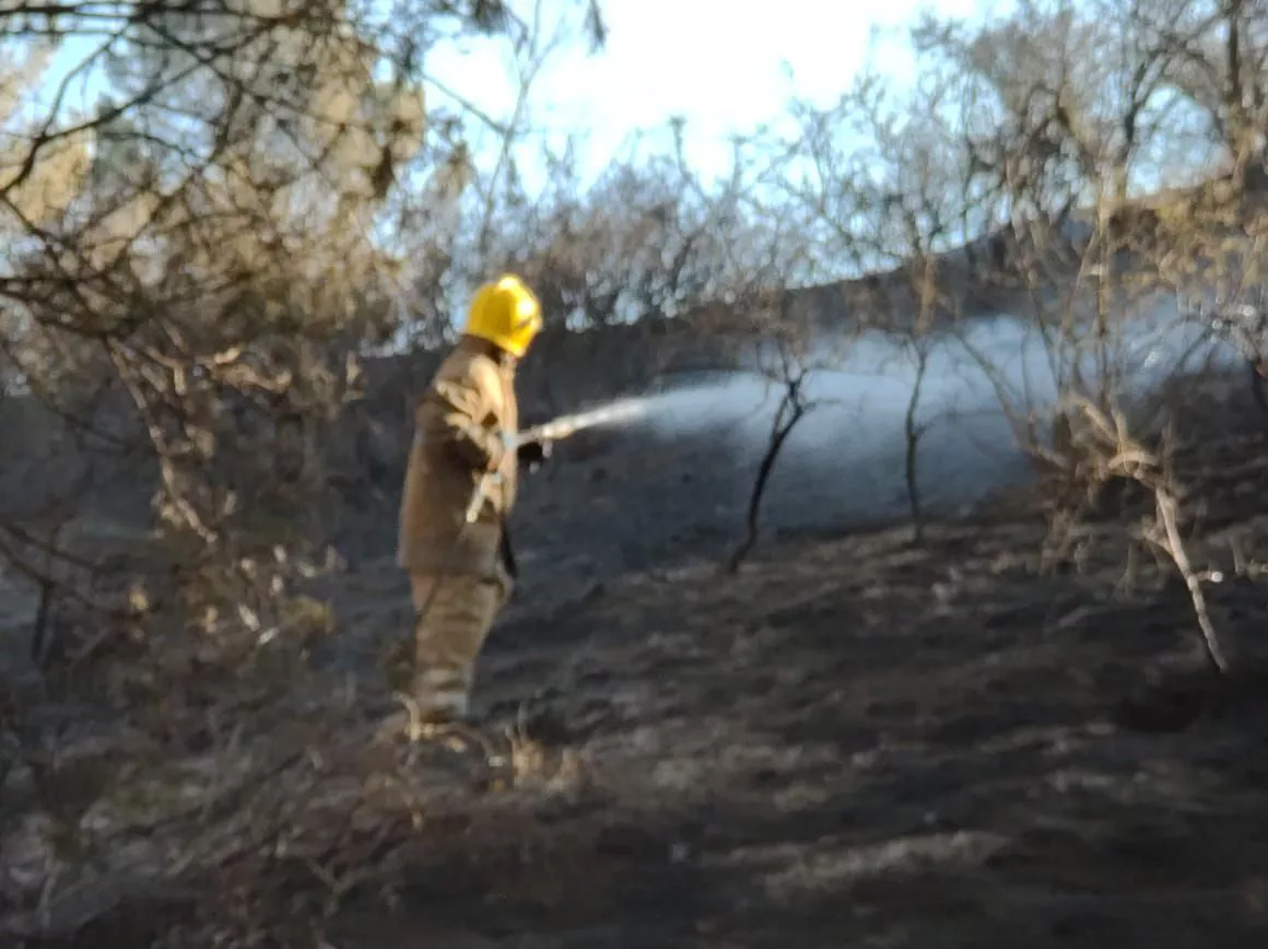 Incendio en Embalse Foto: Bomberos Voluntarios 