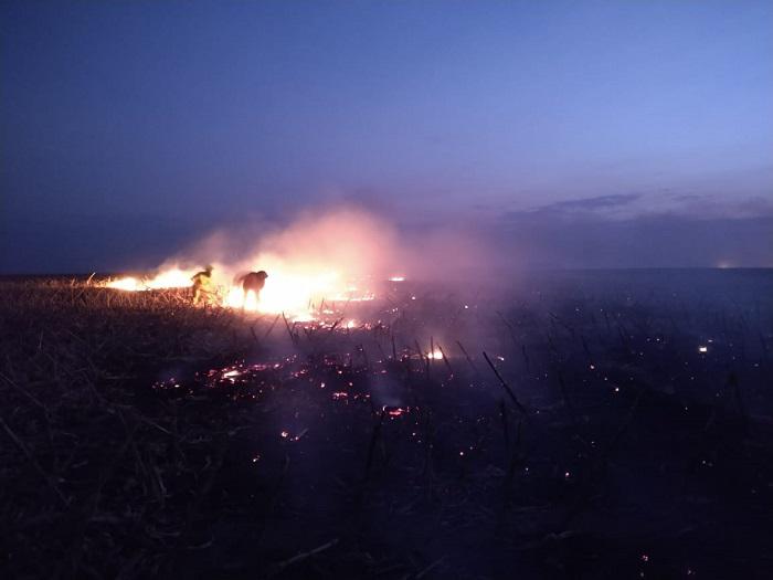 Incendio en Berrotaran 03