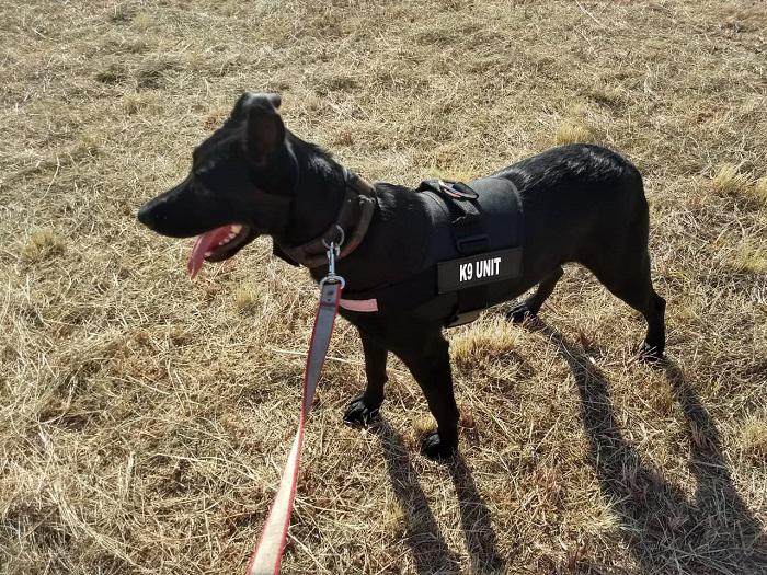 FLORENCIA PEREYRA 09