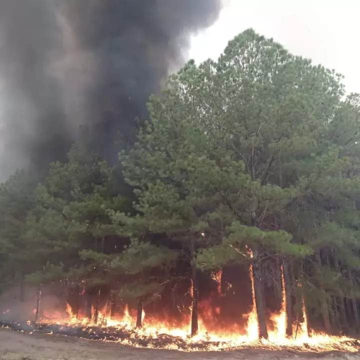 f5e8fe32-8ba0-4036-8146-89df917e9d50