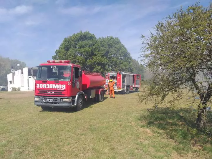 FB_IMG_1650746281787