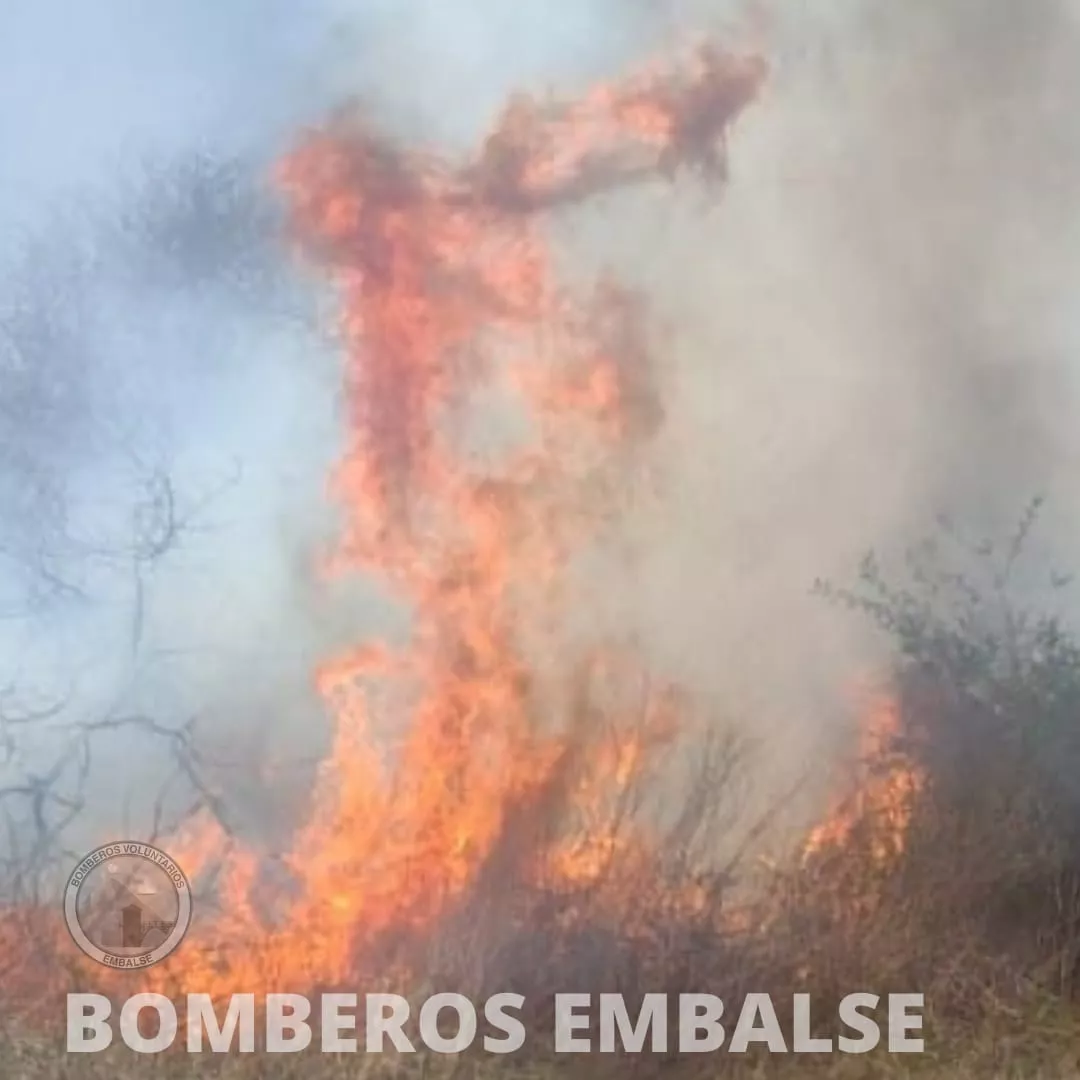 Incendio en zona rural 2
