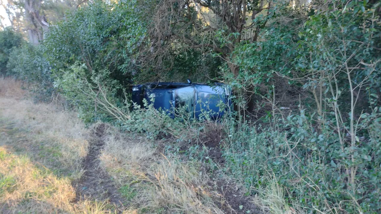 74120a38-f4e3-4554-8a6b-d0cd0ad61fbe