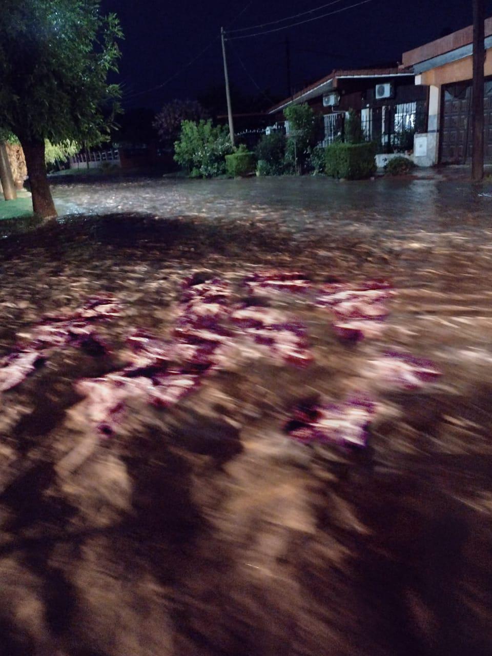 TORMENTA en Embalse 03