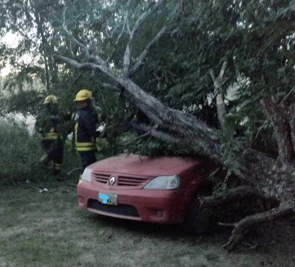 648c1016-b4ef-465f-9166-0a8b72566f56