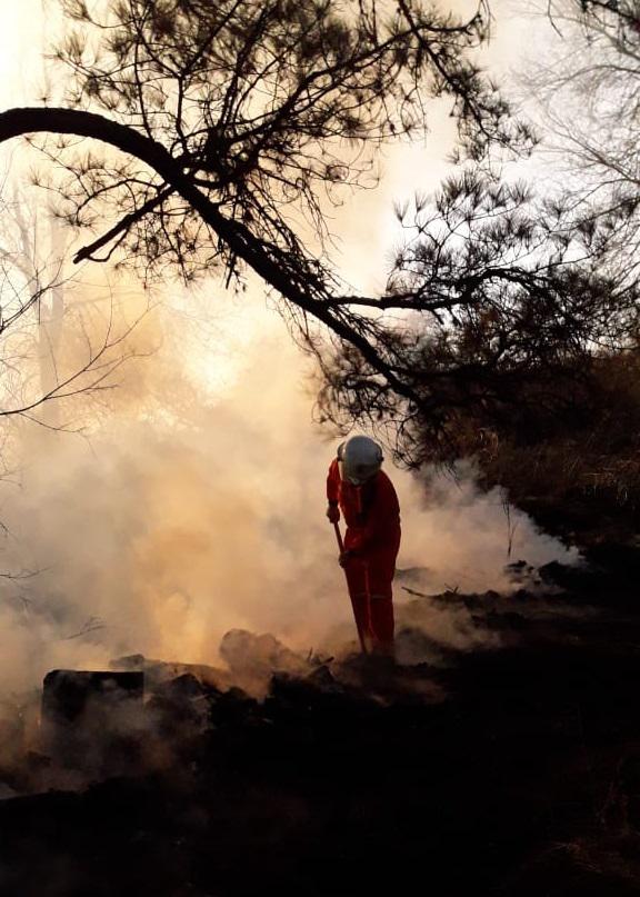 Bomberos Sta rosa 07