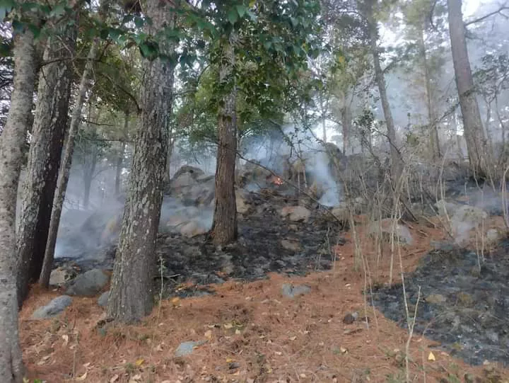 Villa General Belgrano: bomberos extinguieron un principio de incendio en el loteo Las Lagunitas