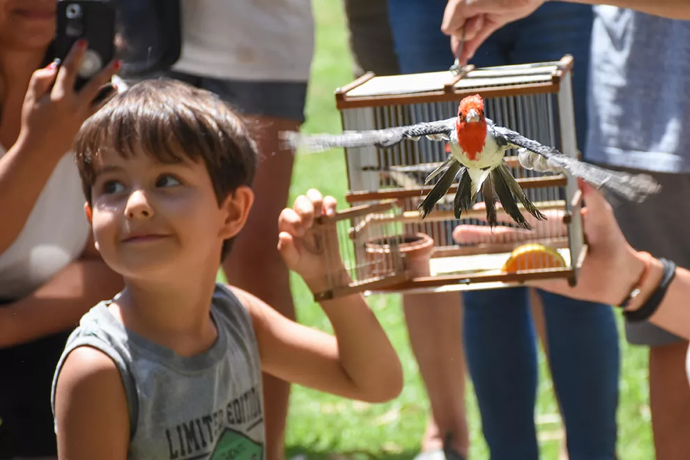 Embalse: Policía Ambiental liberó a 48 aves que se encontraban en cautiverio 