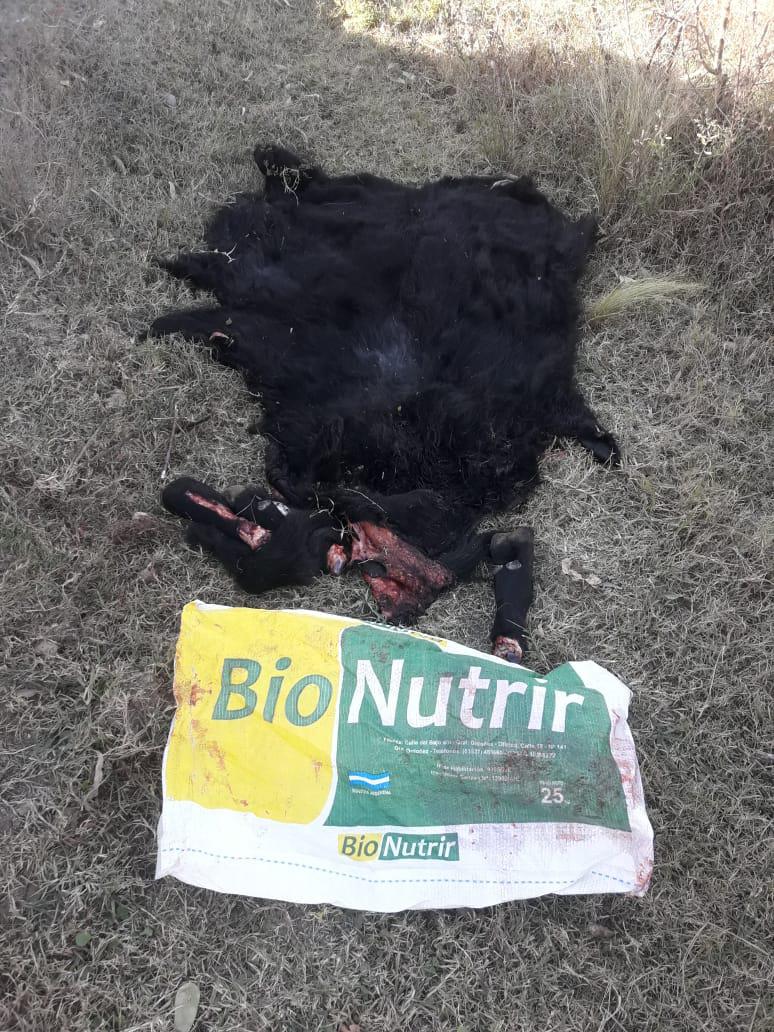 OPERATIVO PATRULLA RURAL SUR 02