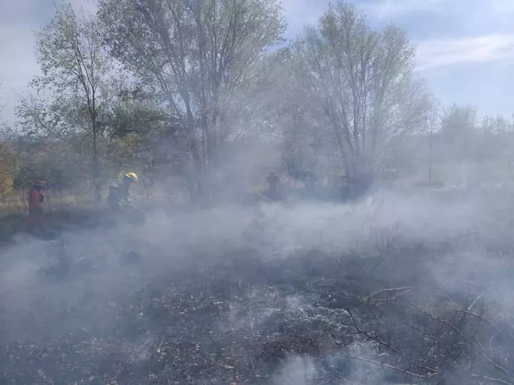 FB_IMG_1650746288189