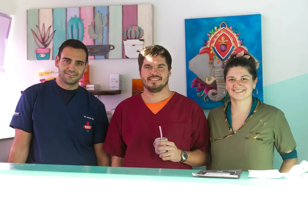 Vacaciones con mascotas: Qué debemos tener en cuenta para viajar con nuestro perro o gato en auto 