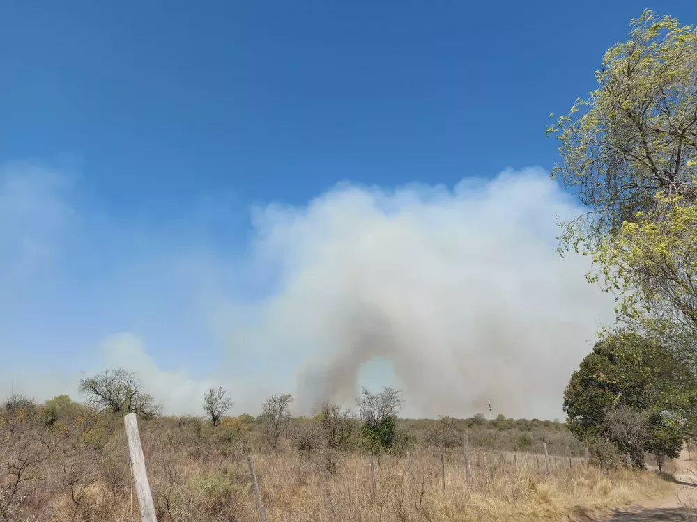 4b91317a-a28e-4e71-9dcc-d9f2d516c4e7