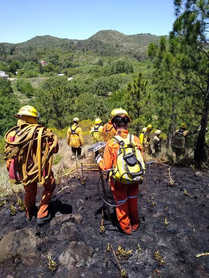 FB_IMG_1637448529186