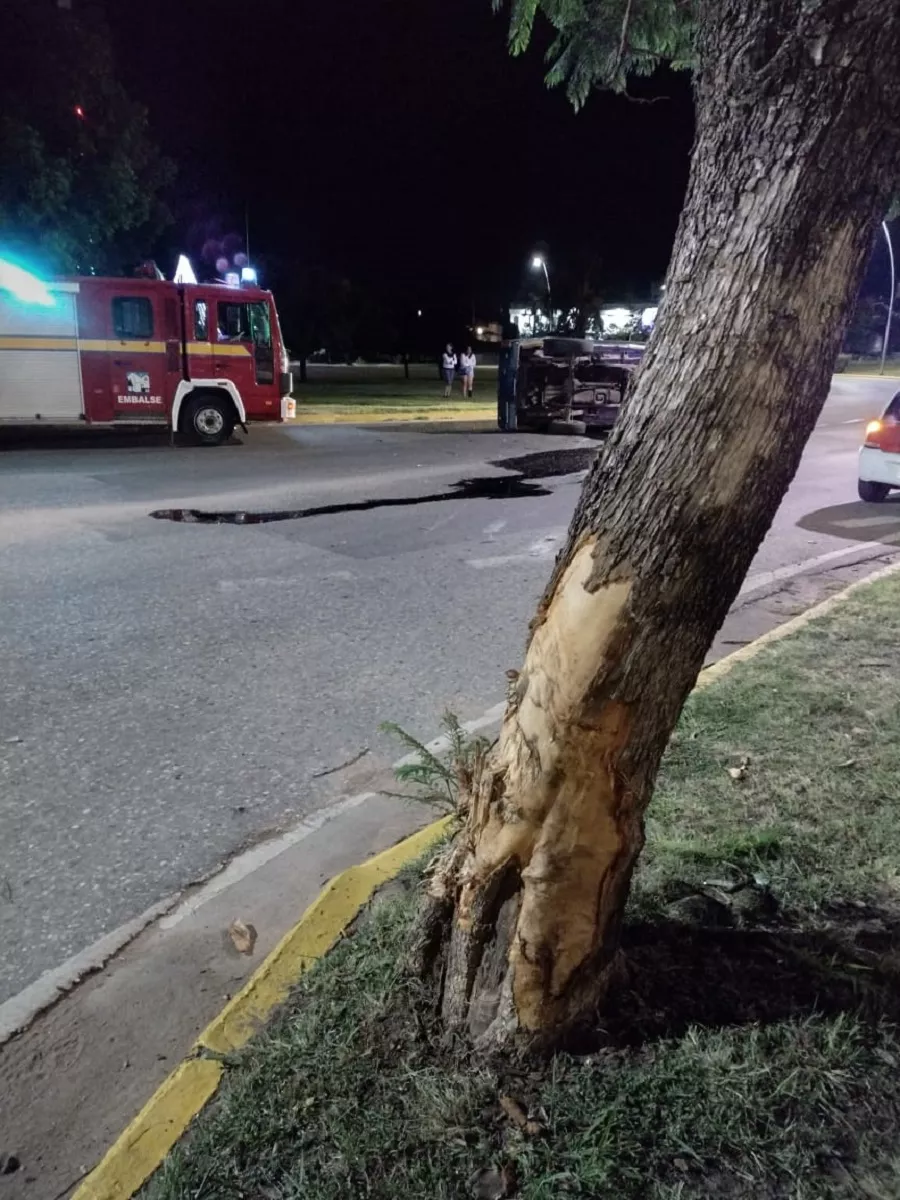 a6af1030-6433-4dfa-8e7b-feb49ebc0378