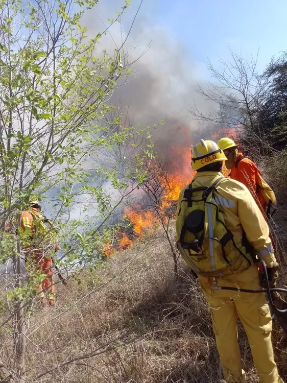 Santa Rosa: 5 cuarteles de bomberos combaten un incendio en Santa Mónica