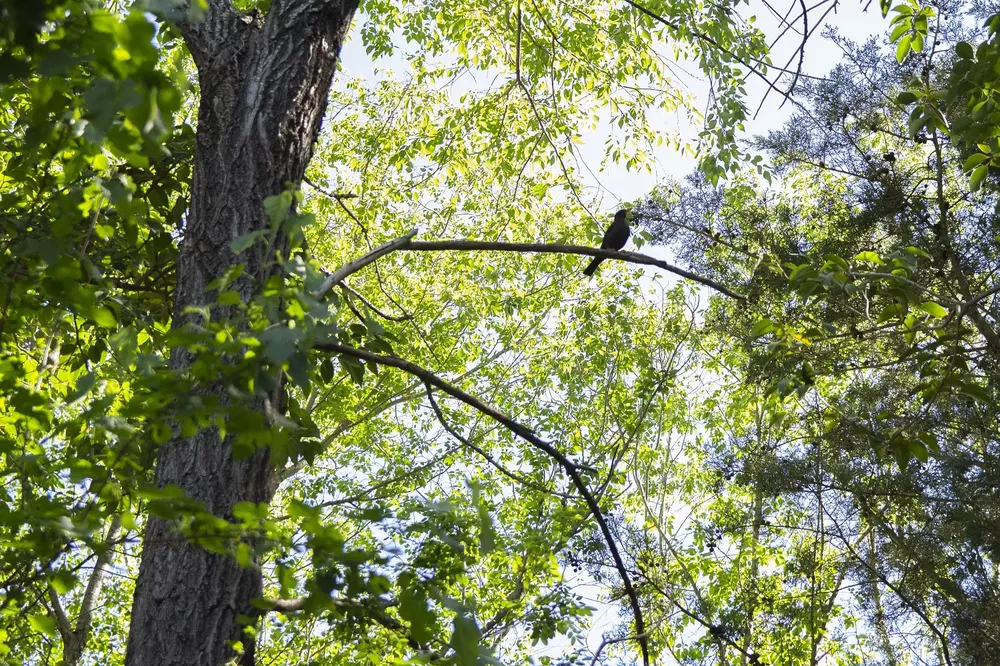 Fotos: Turismo Villa General Belgrano