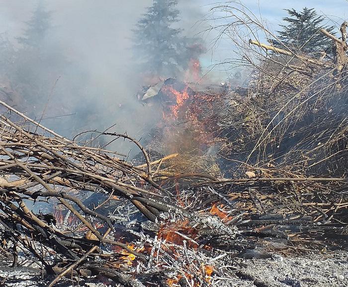 Bomberos en Cerro Pistarini 01