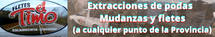 BANNER EL TIMO FLETES