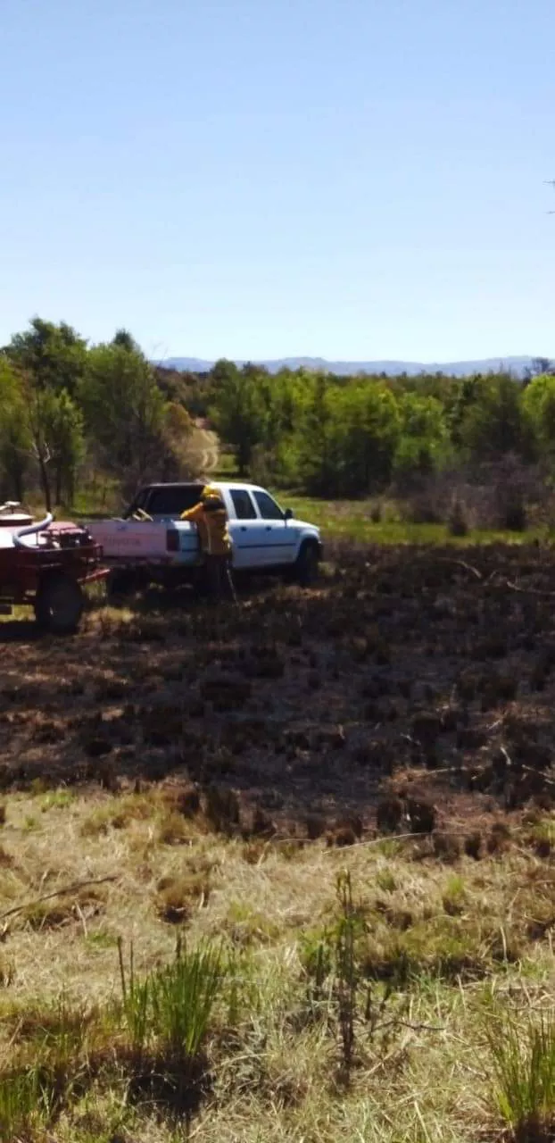 FB_IMG_1667338851811