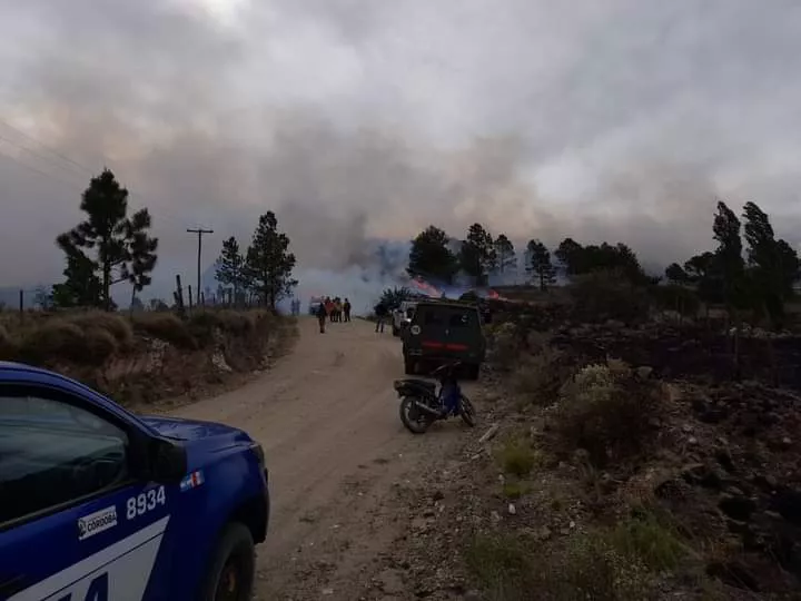 FB_IMG_1667514937355