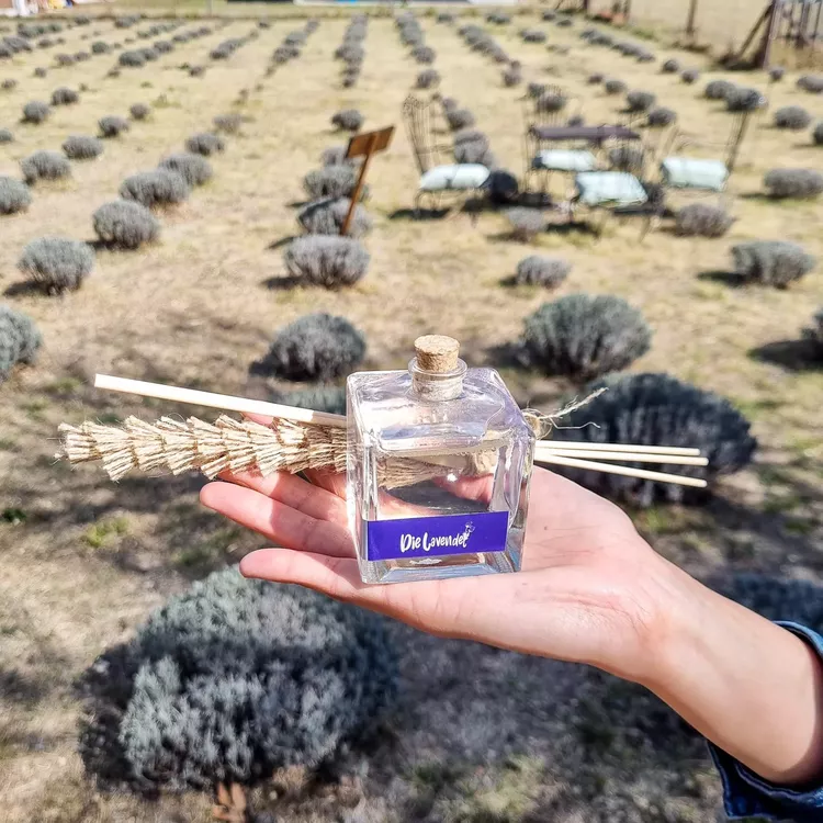 309611962_482189060620301_617500043726562300_n